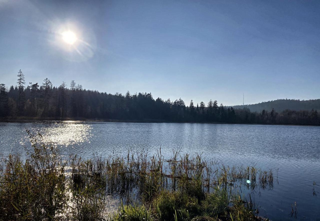 U Prokopu Villa Telč Kültér fotó